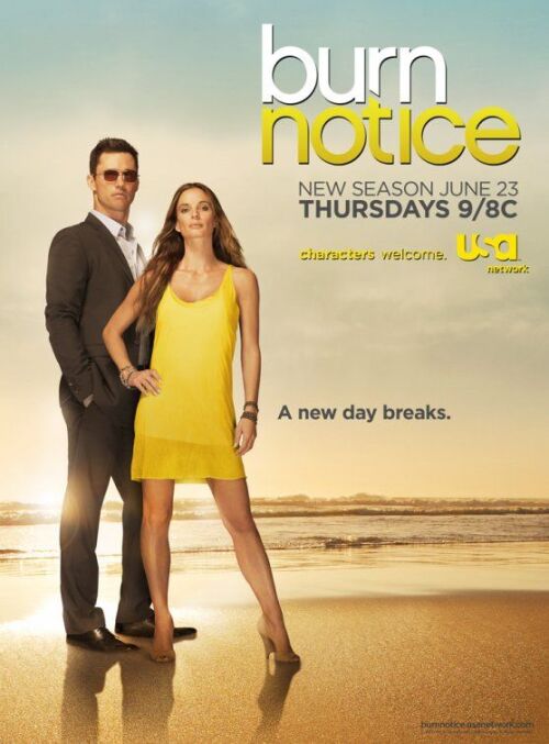 Burn Notice (season 5)