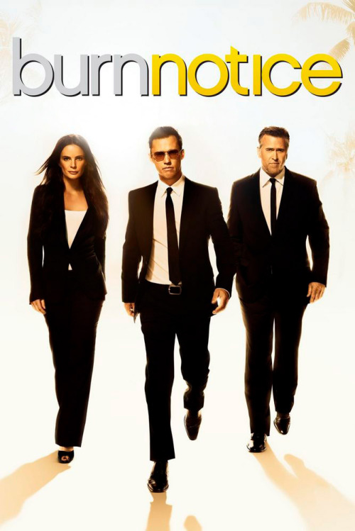 Burn Notice (season 6)