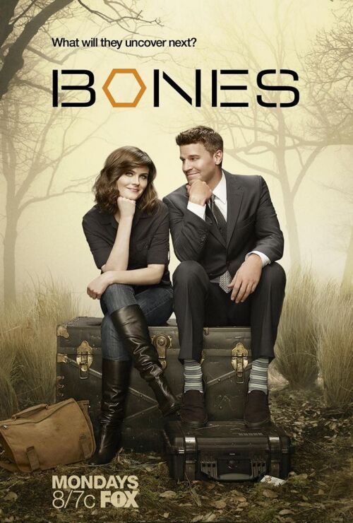Bones (season 8)