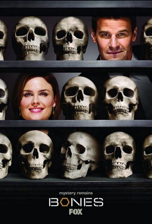 Bones (season 2) tv show poster