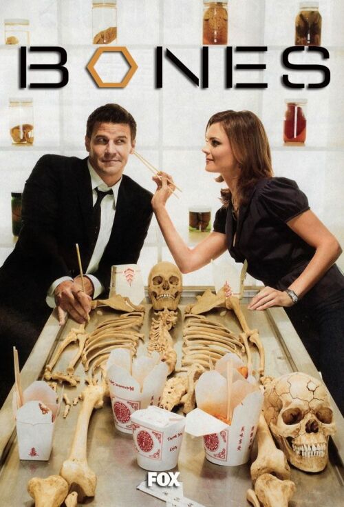 Bones (season 4) tv show poster