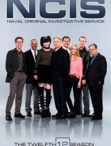 NCIS: Naval Criminal Investigative Service (season 12) tv show poster