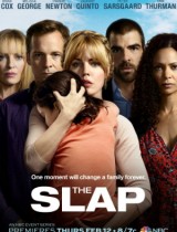 The Slap (season 1) tv show poster