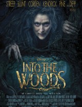 Into the Woods (2014) movie poster
