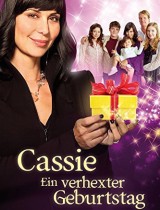 the-good-witch-s-destiny
