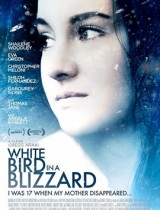 WBIB_poster