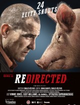 Redirected (2014) movie poster