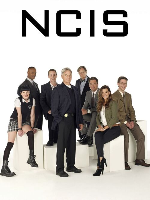 NCIS: Naval Criminal Investigative Service (season 13) tv show poster