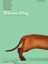 wiener-dog