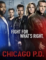 Chicago P.D. (season 4) tv show poster