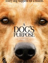 A Dog's Purpose (2017) movie poster