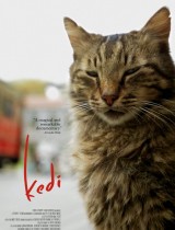 Kedi (2016) movie poster