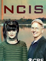 NCIS: Naval Criminal Investigative Service (season 15) tv show poster