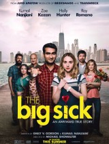 The Big Sick (2017) movie poster