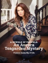 A Bundle of Trouble: An Aurora Teagarden Mystery (2017) movie poster