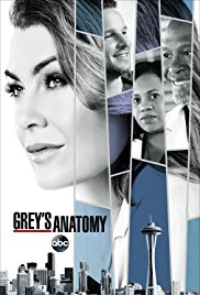 Grey's Anatomy (season 14) tv show poster