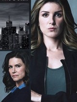 The Detail (season 1) tv show poster