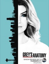 Grey's Anatomy (season 15) tv show poster