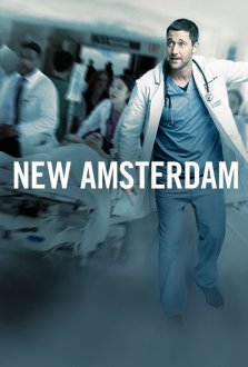 New Amsterdam (season 1) tv show poster