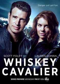 Whiskey Cavalier (season 1) tv show poster