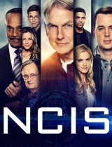 NCIS: Naval Criminal Investigative Service (season 17) tv show poster