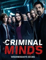 Criminal Minds (season 15) tv show poster