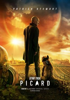 Star Trek: Picard (season 1) tv show poster