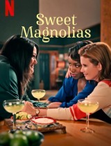 Sweet Magnolias (season 1) tv show poster