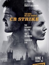 Strike (season 4) tv show poster