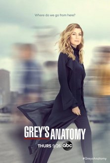 Grey's Anatomy (season 17) tv show poster