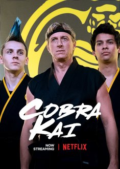 Cobra Kai (season 2) tv show poster
