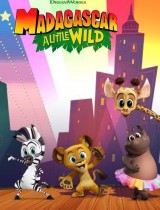 Madagascar: A Little Wild (season 2) tv show poster