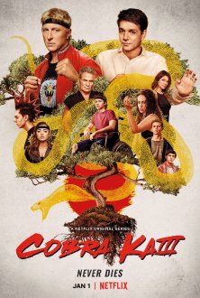 Cobra Kai (season 3) tv show poster
