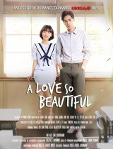 A Love So Beautiful (season 1) tv show poster