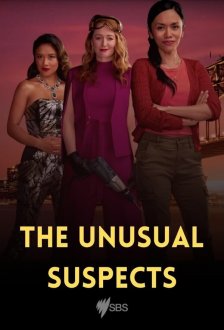 The Unusual Suspects (season 1) tv show poster