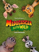 Madagascar: A Little Wild (season 4) tv show poster