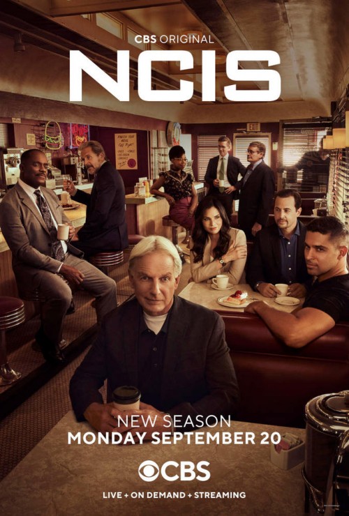 NCIS: Naval Criminal Investigative Service (season 19) tv show poster