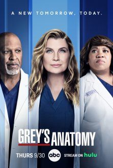 Grey's Anatomy (season 18) tv show poster