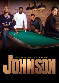 Johnson (season 1) tv show poster