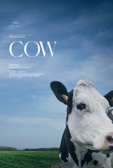 Cow (2022) movie poster