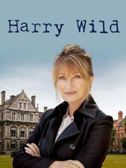 Harry Wild (season 1) tv show poster