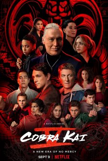 Cobra Kai (season 5) tv show poster