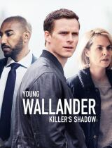 Young Wallander (season 2) tv show poster