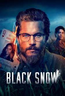 Black Snow (season 1) tv show poster