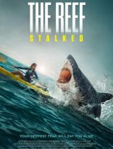 The Reef: Stalked (2022) movie poster