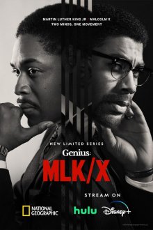 Genius (season 4) tv show poster