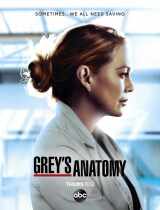 Grey's Anatomy (season 20) tv show poster