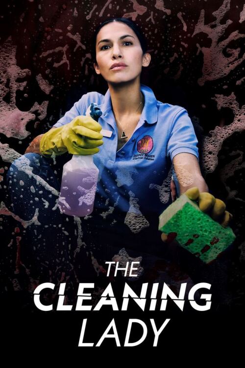The Cleaning Lady (season 3) tv show poster