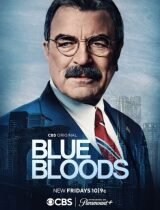 Blue Bloods (season 14) tv show poster