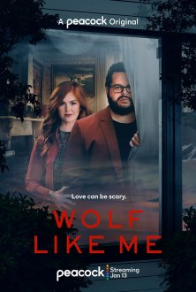Wolf Like Me (season 2) tv show poster